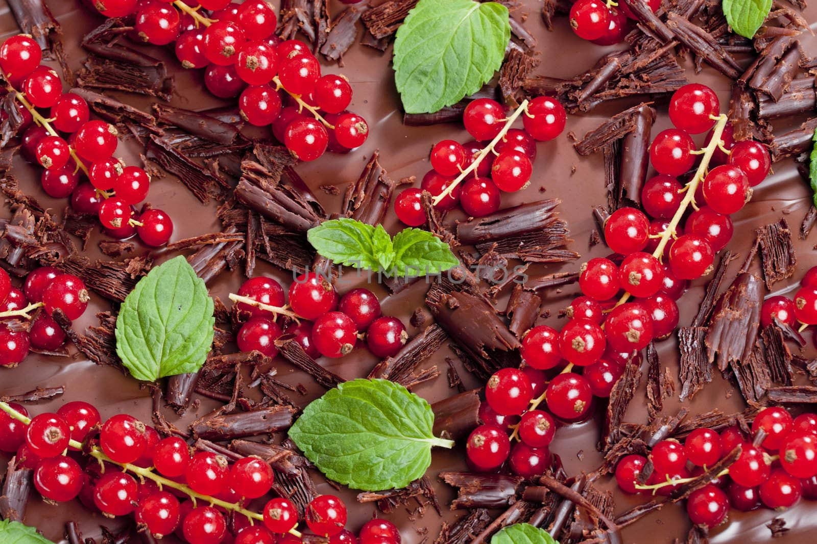 red currant and mint with chocolate