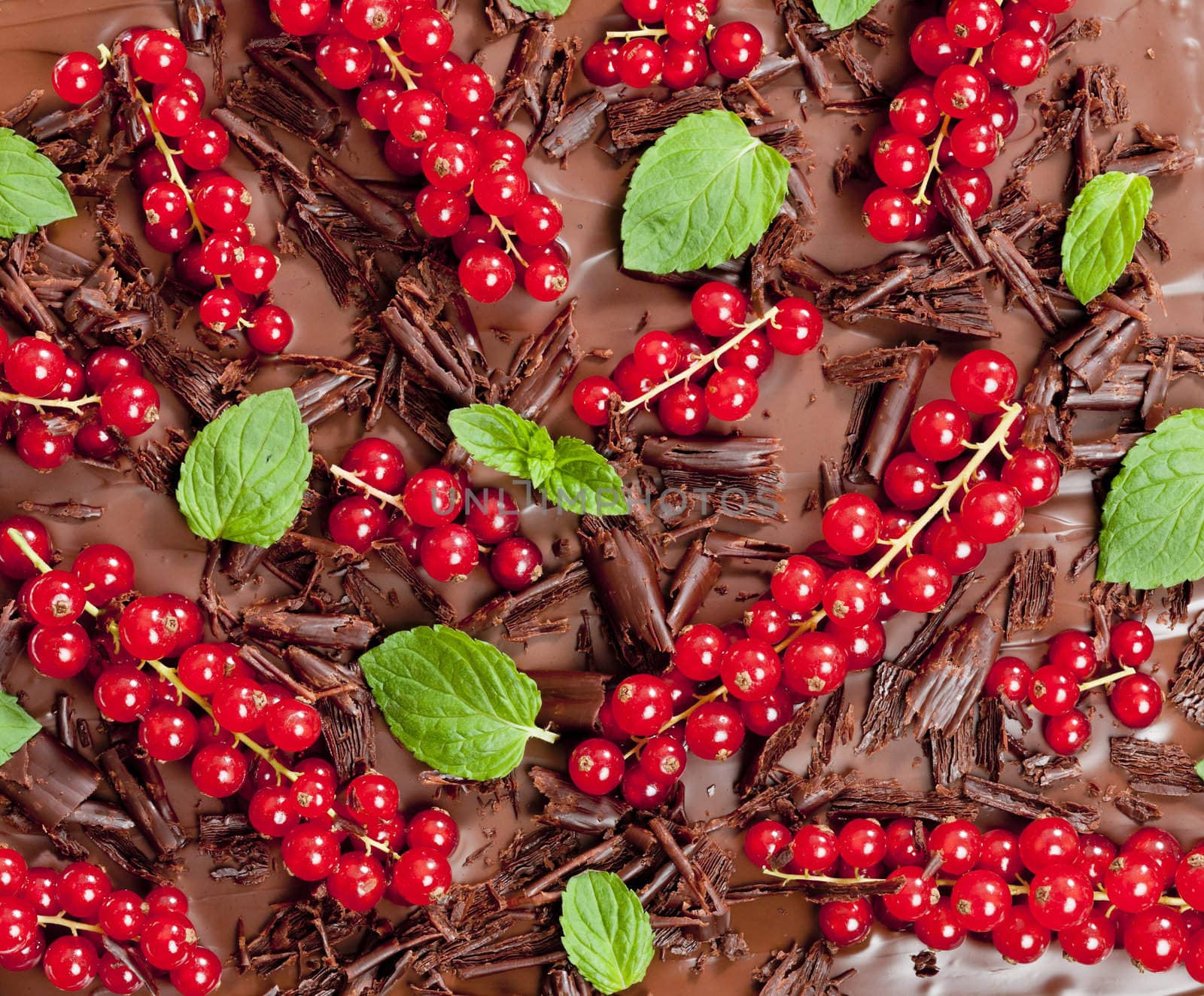 red currant and mint with chocolate