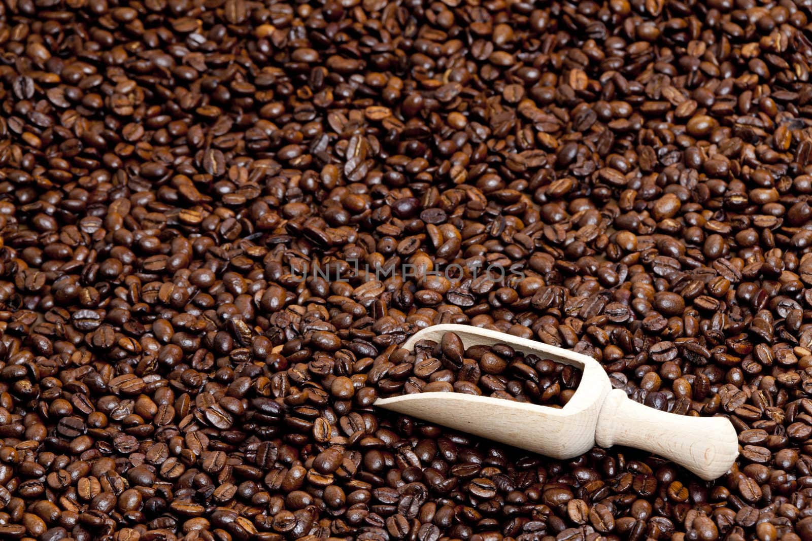 still life of coffee beans