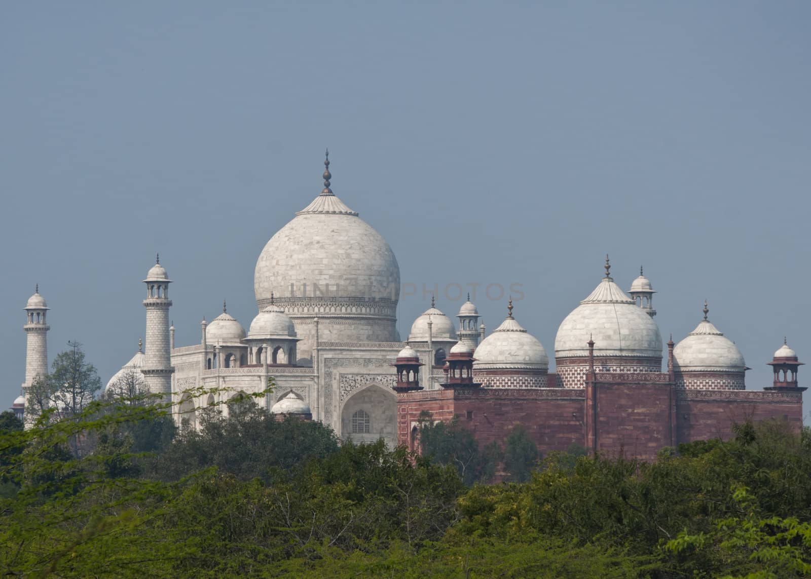 Guesthouse and Taj Mahal mausoleum seen over forest in India's A by Claudine