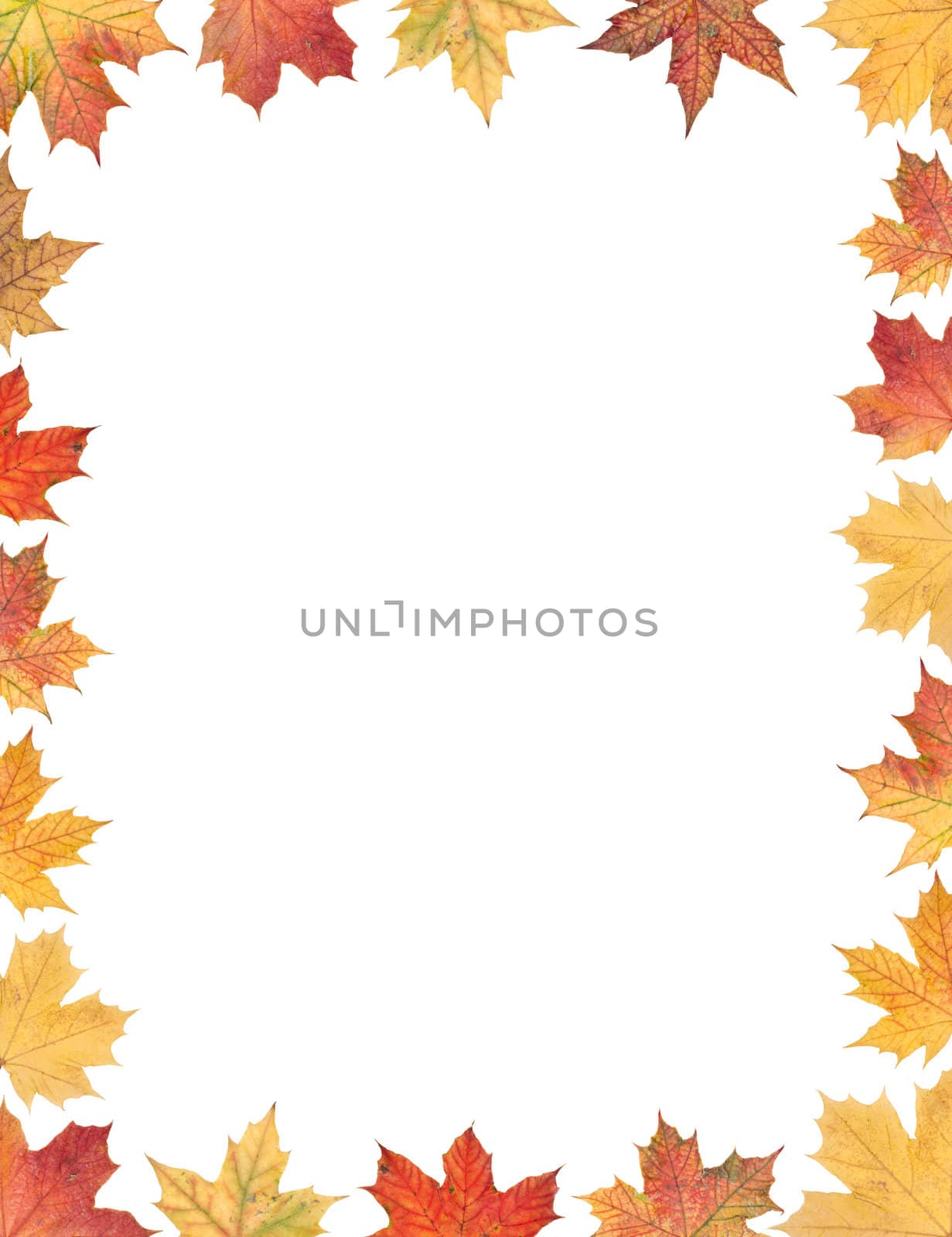 Frame of autumn leafs isolated on white