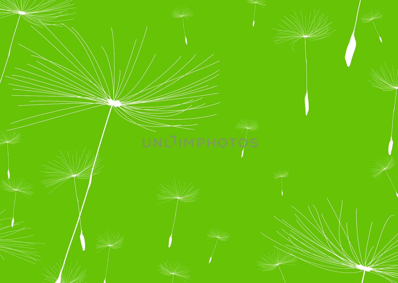 Green nature background with white dandelions and copy space