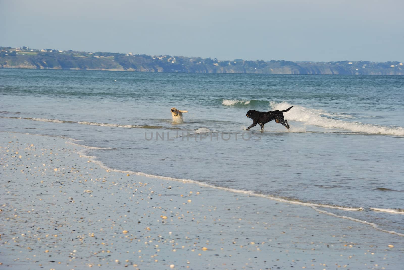 Sandy beach