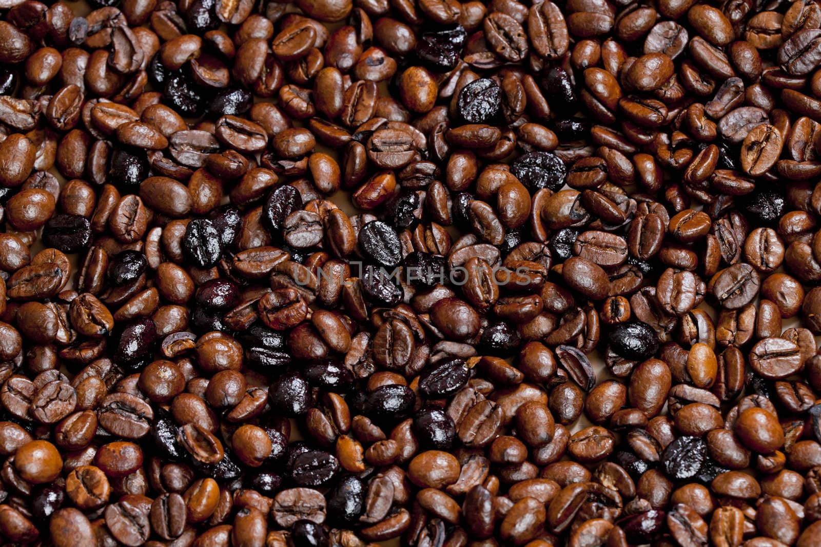 still life of coffee beans
