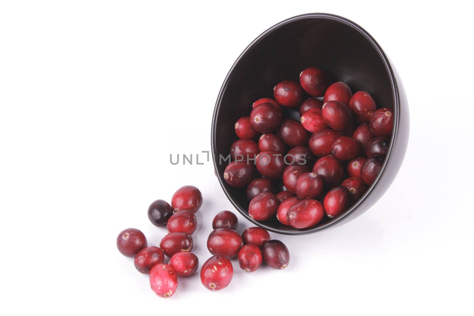 Red ripe cranberries spilling out of a small round black bowl on its side with a reflective white background