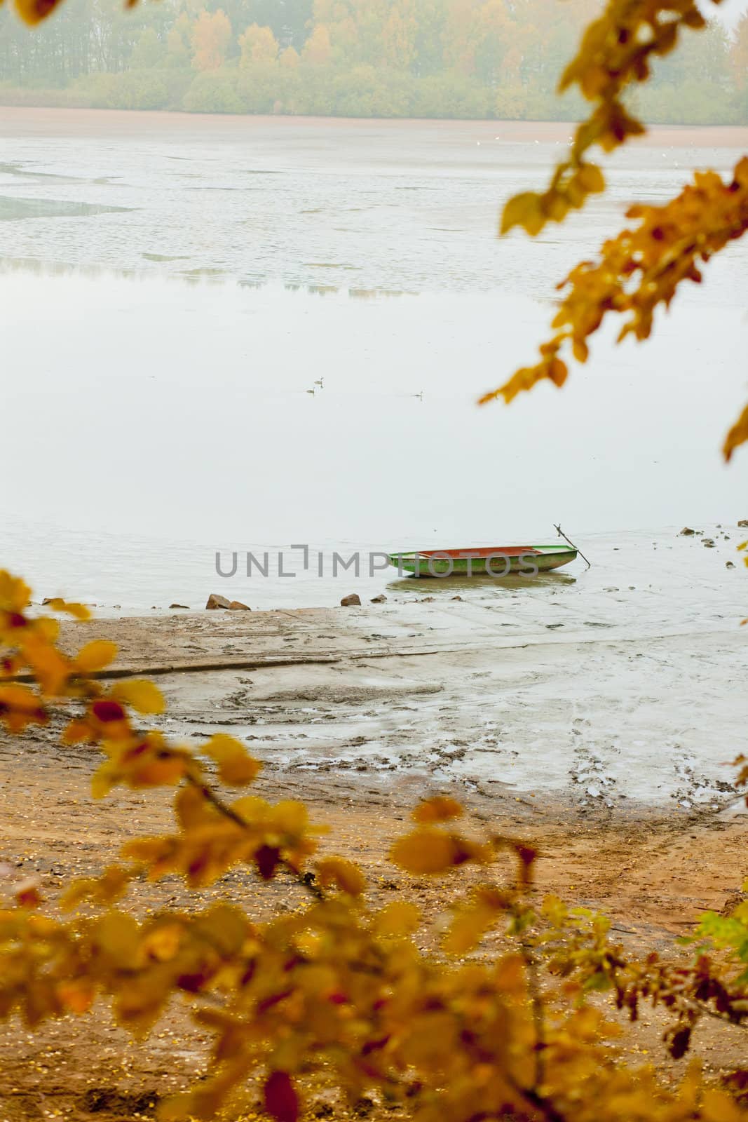 autumnal pond, Czech Republic