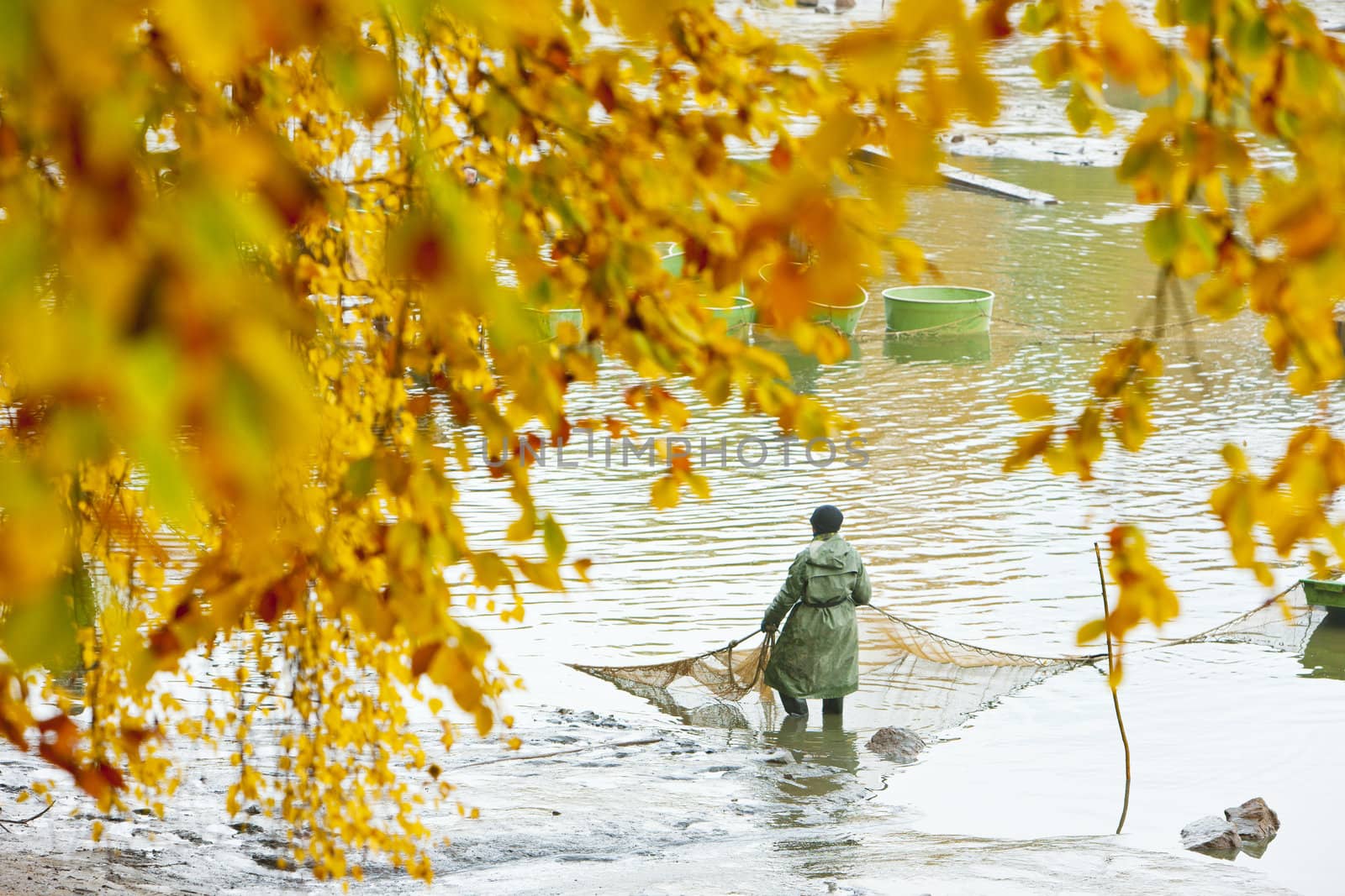 harvesting pond, Czech Republic
