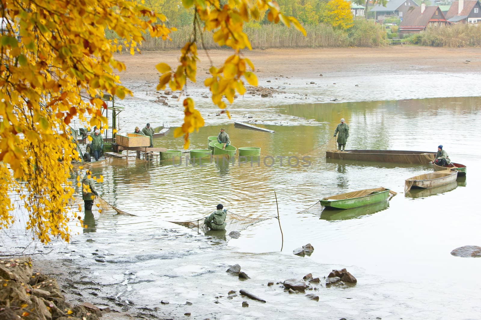 harvesting pond, Czech Republic