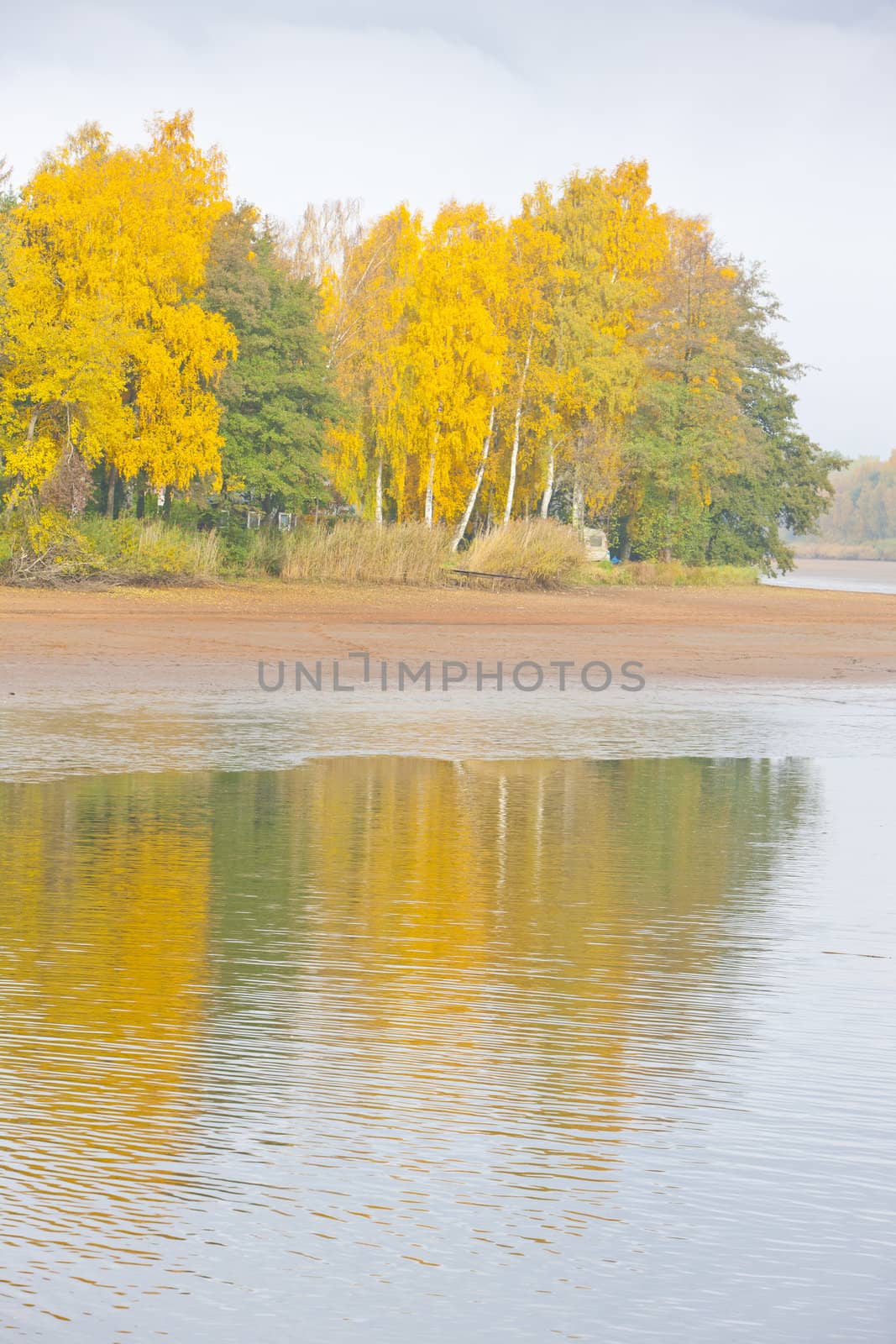 autumnal pond, Czech Republic