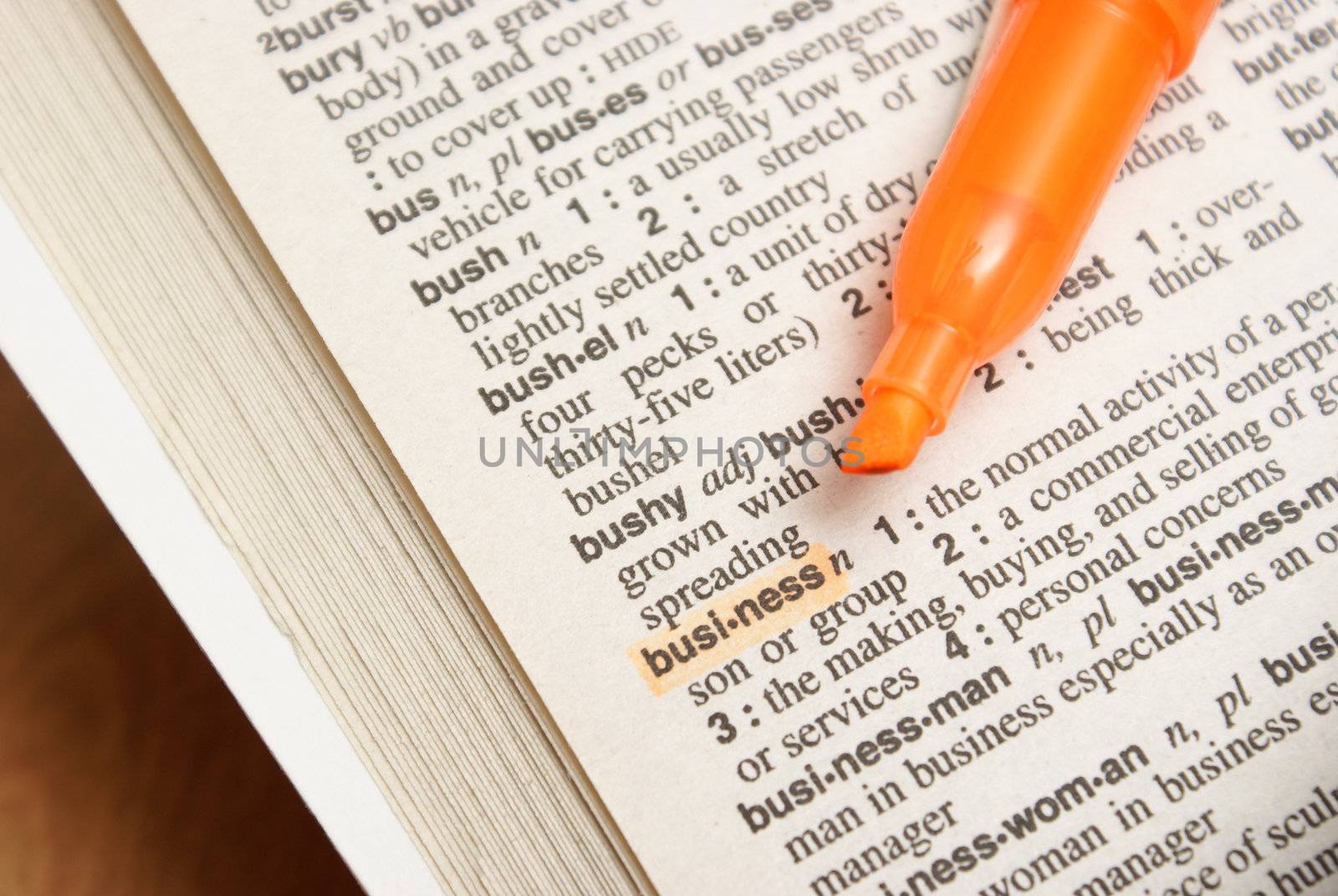 The word business is highlighted in the dictonary.