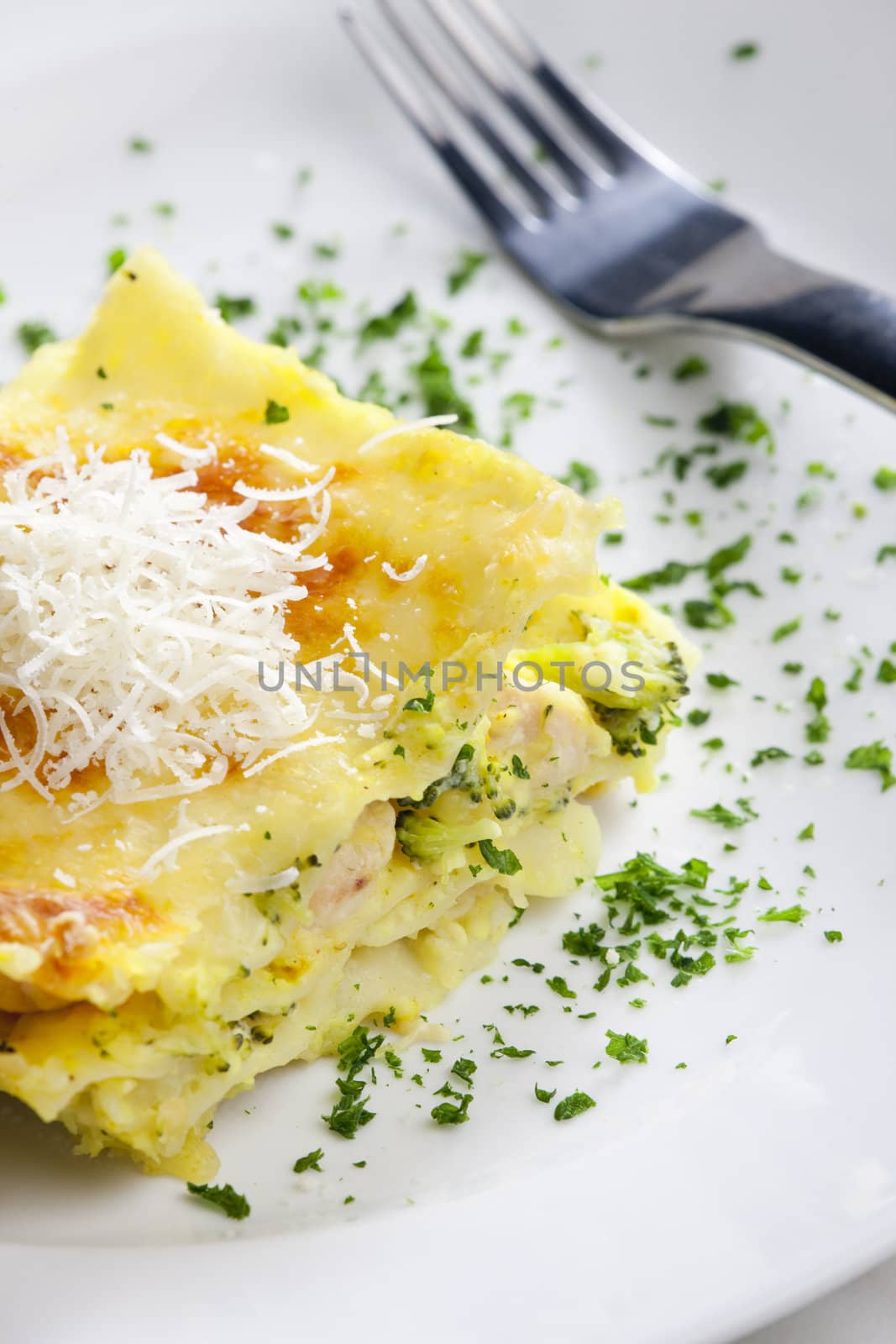 lasagne with broccoli and chicken meat