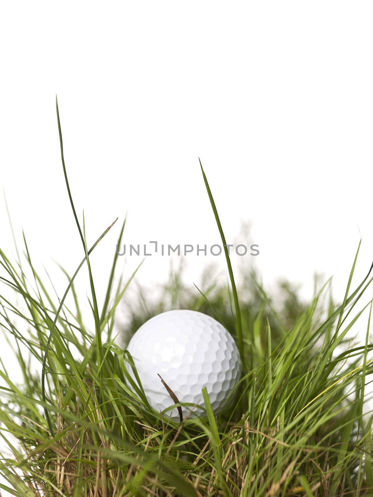 Golf ball on green grass isolated on a white background