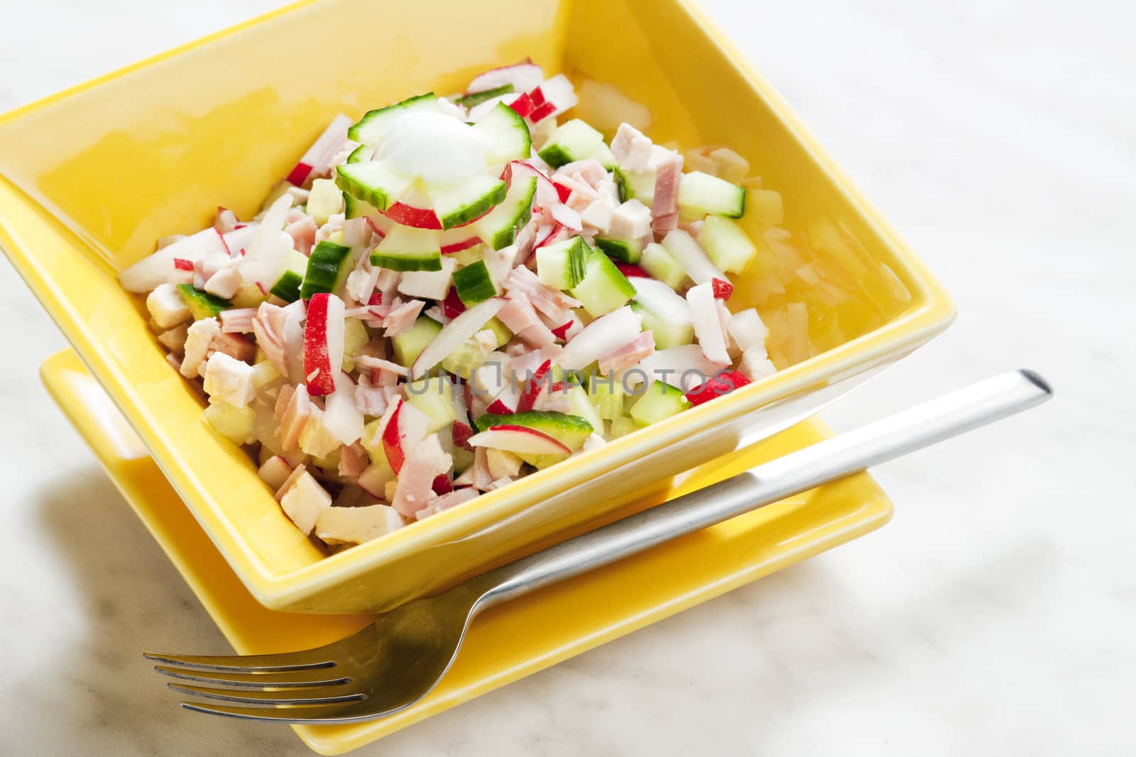 chicken salad with radishes and cucumber