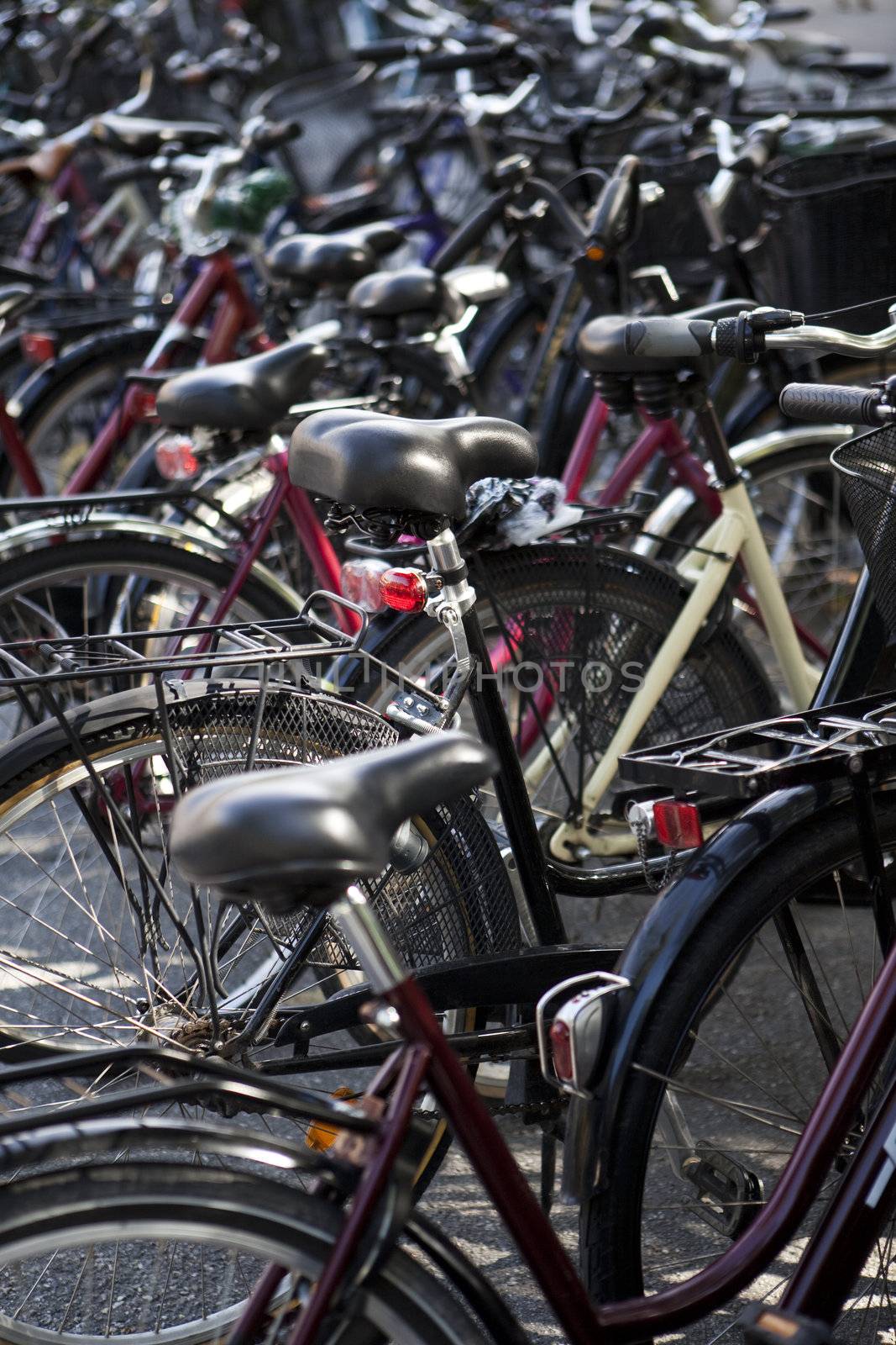 Bicycle parking