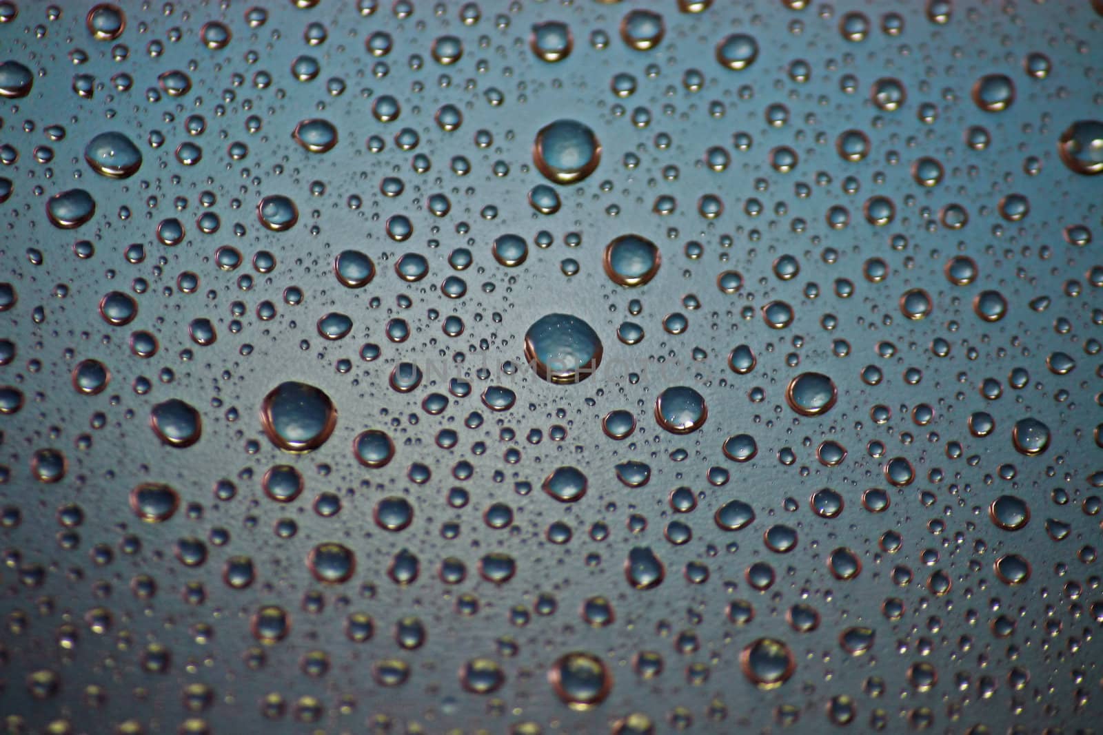 We see an unusual background. These are multi-coloured drops of water on a surface.