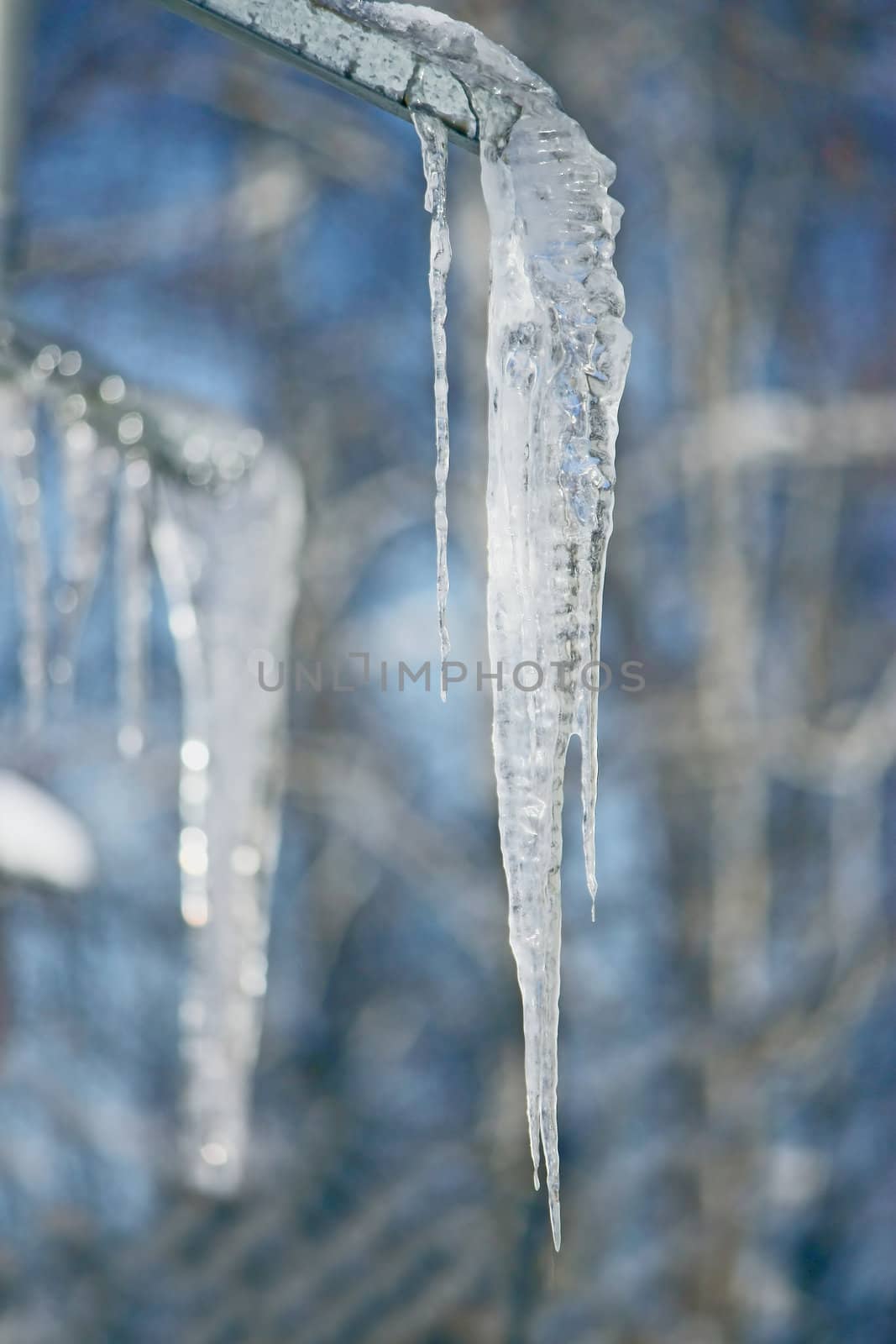  icicle by zhannaprokopeva