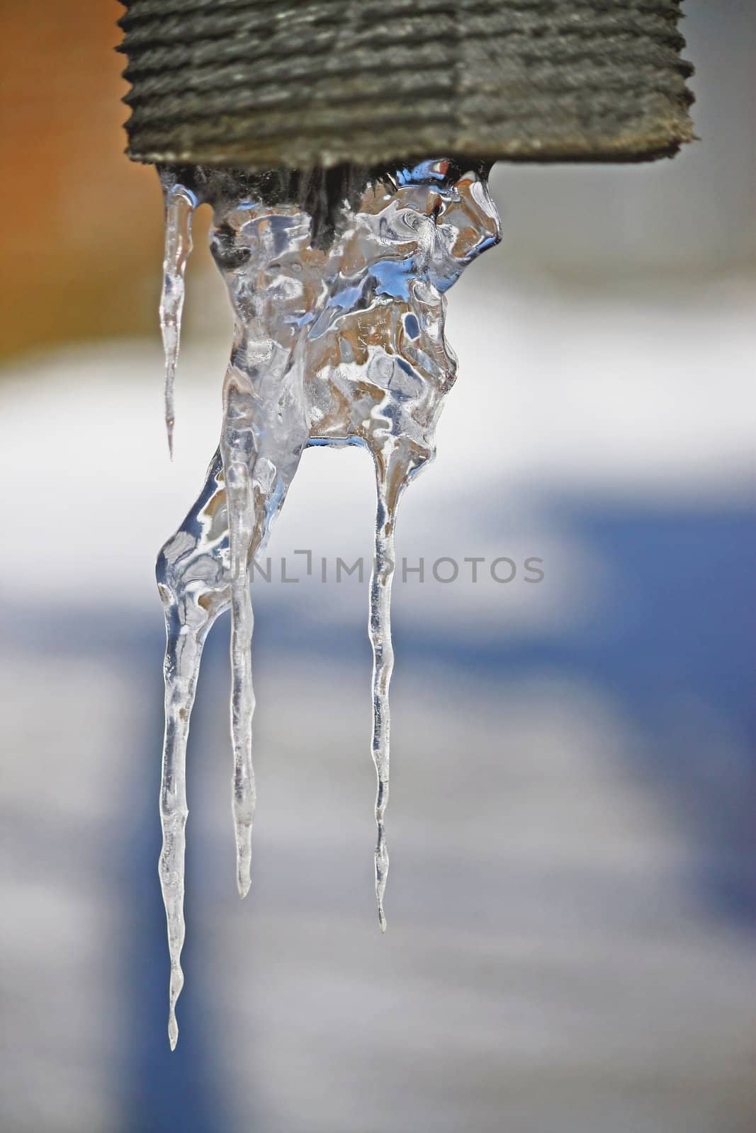 icicles  by zhannaprokopeva