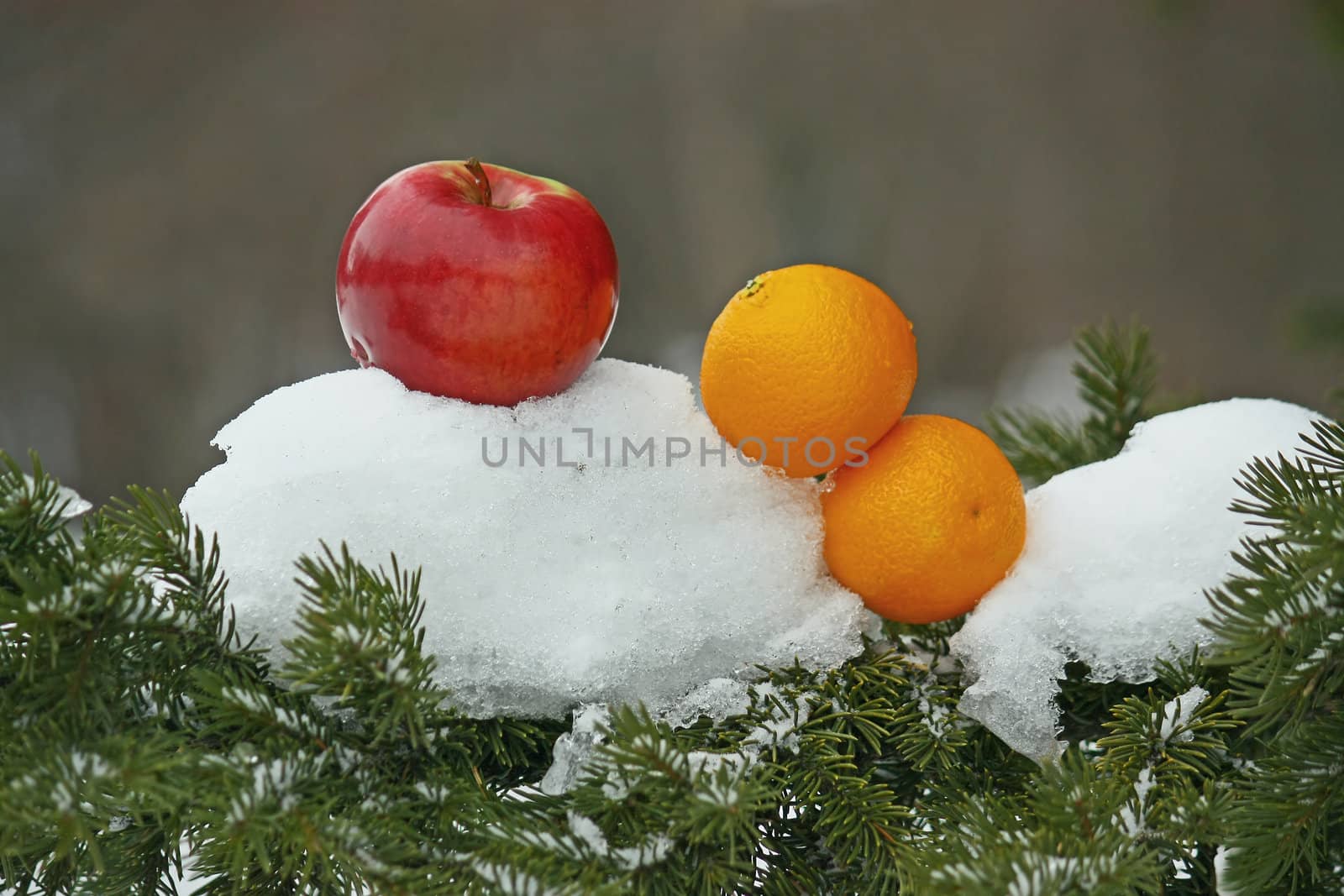 Fruit on snow by zhannaprokopeva