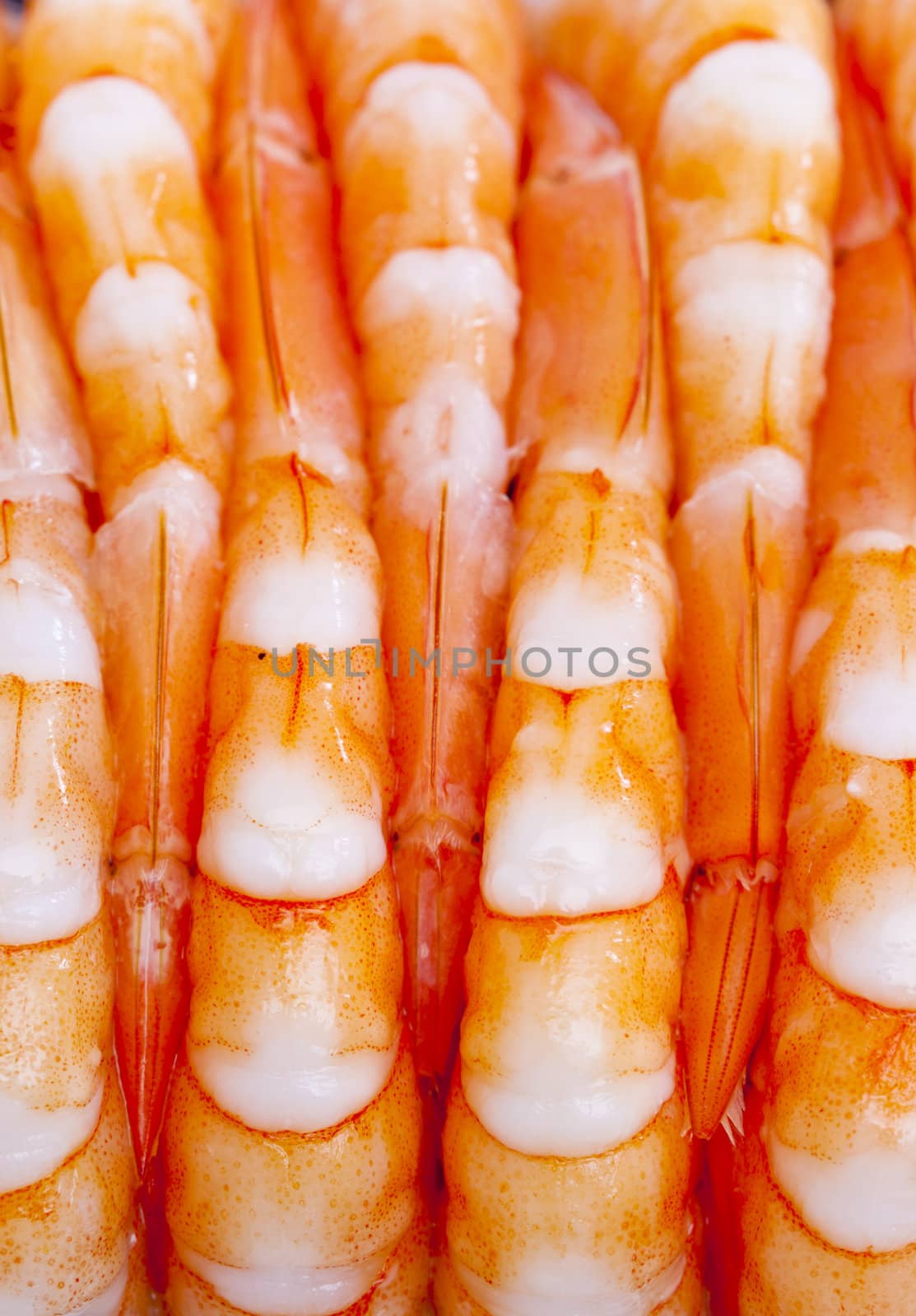 still life of raw prawns