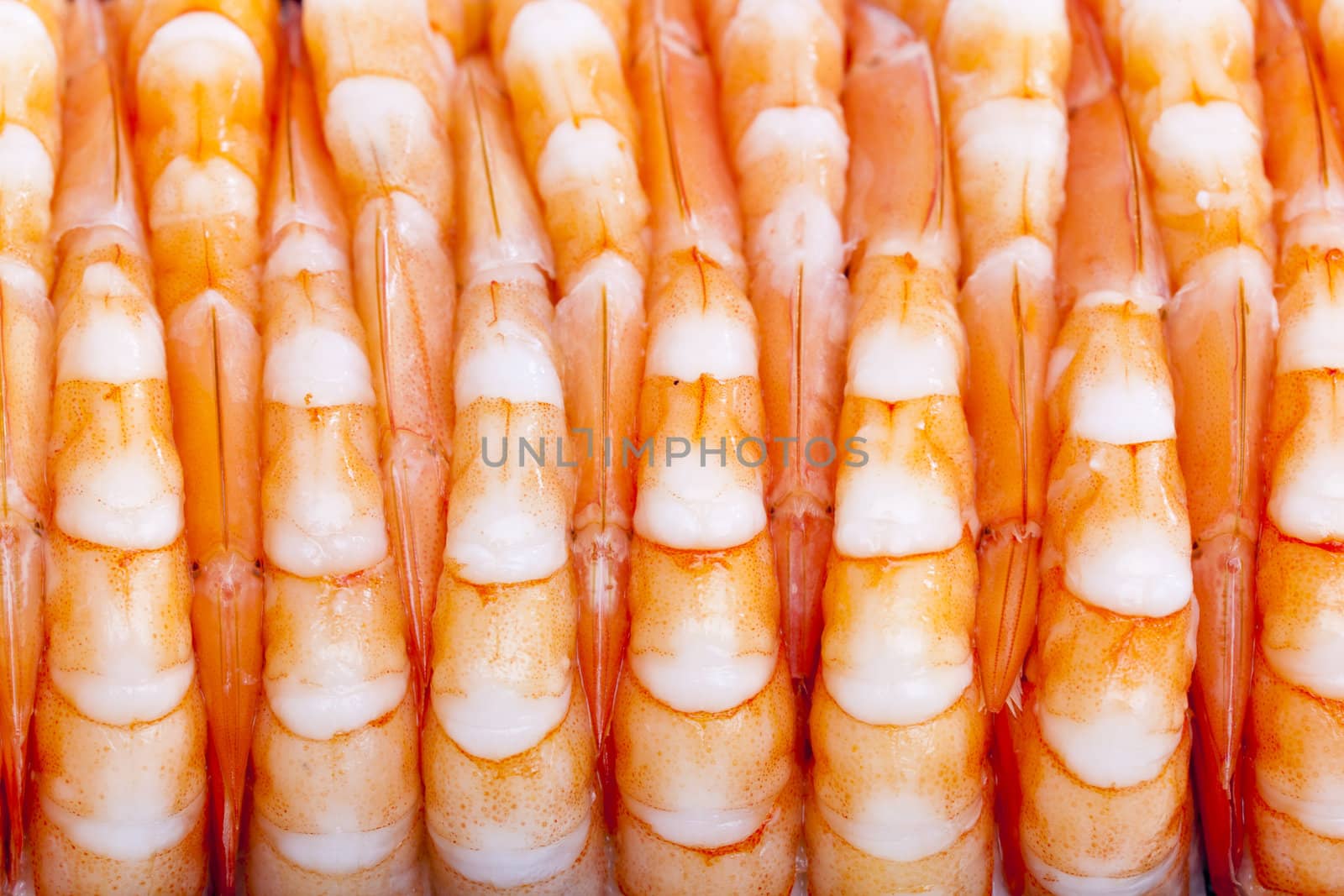 still life of raw prawns