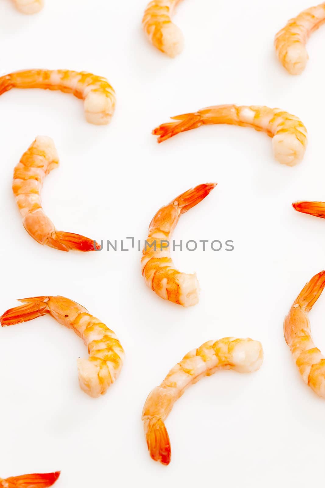 still life of raw prawns