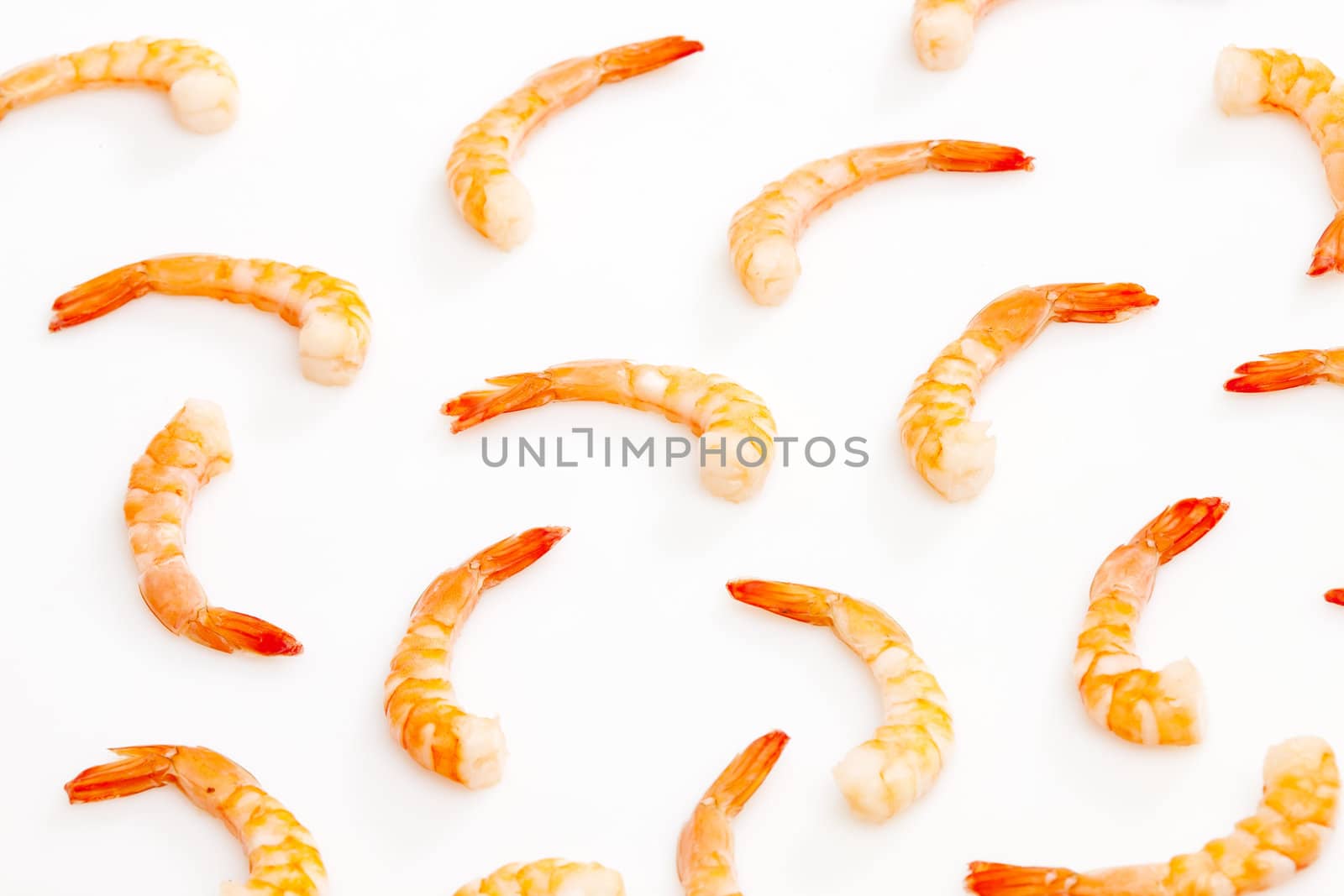 still life of raw prawns