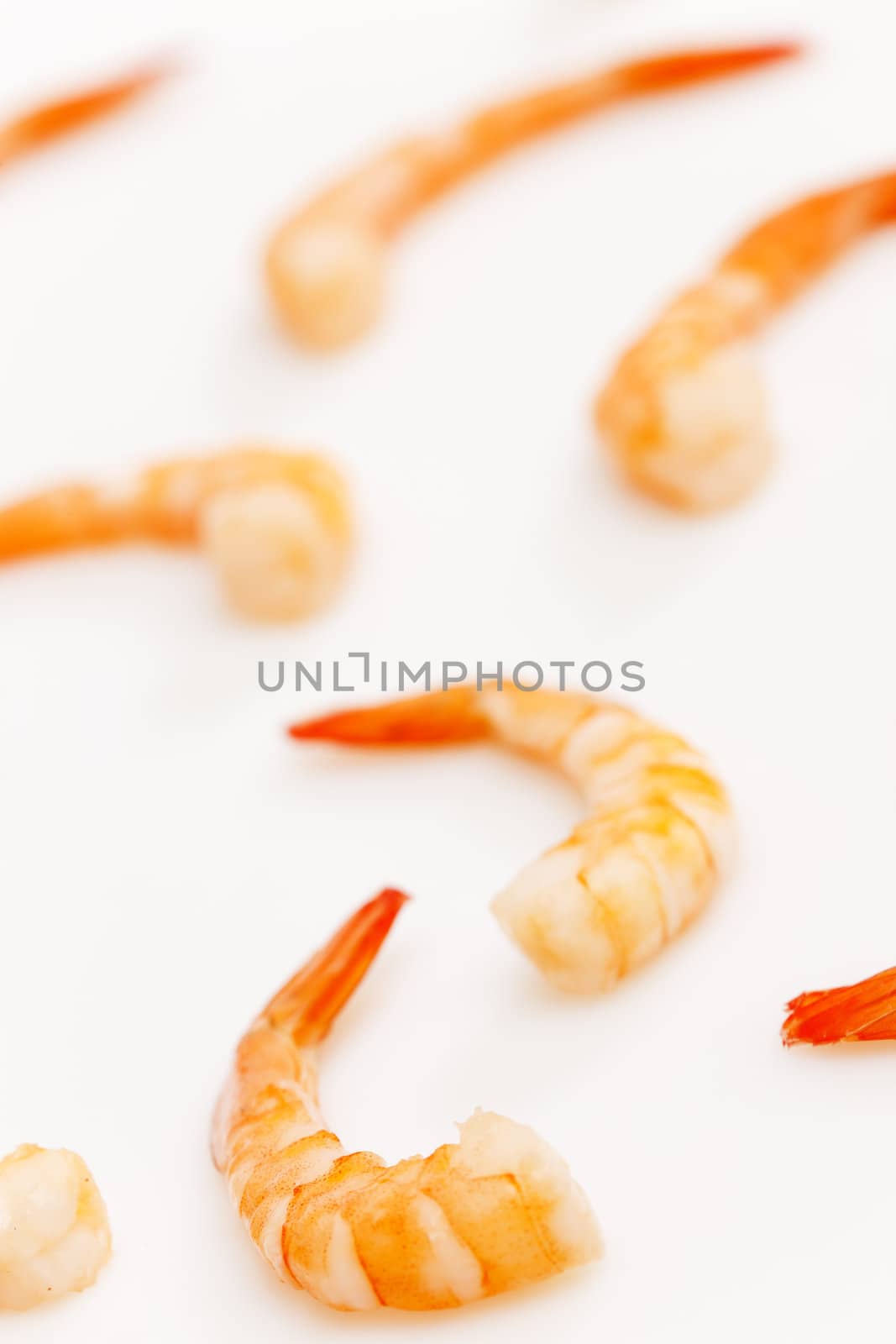 still life of raw prawns