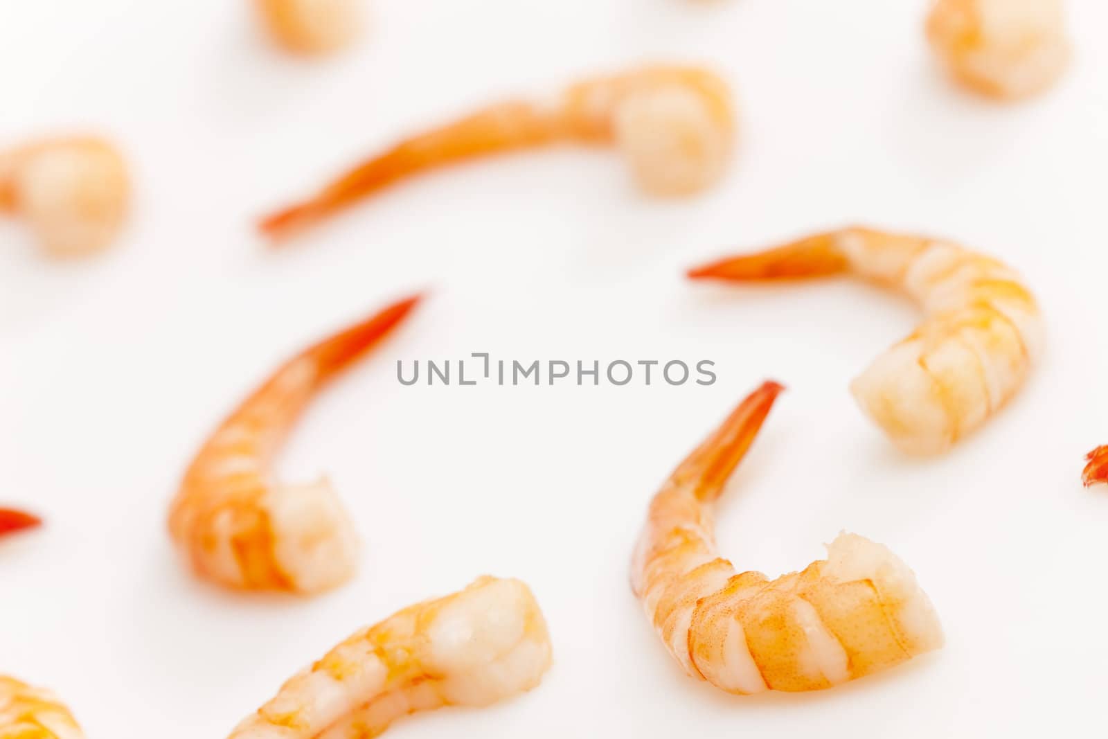 still life of raw prawns