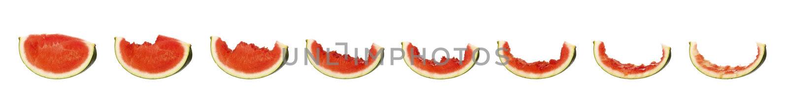 Tasty watermelon in progress