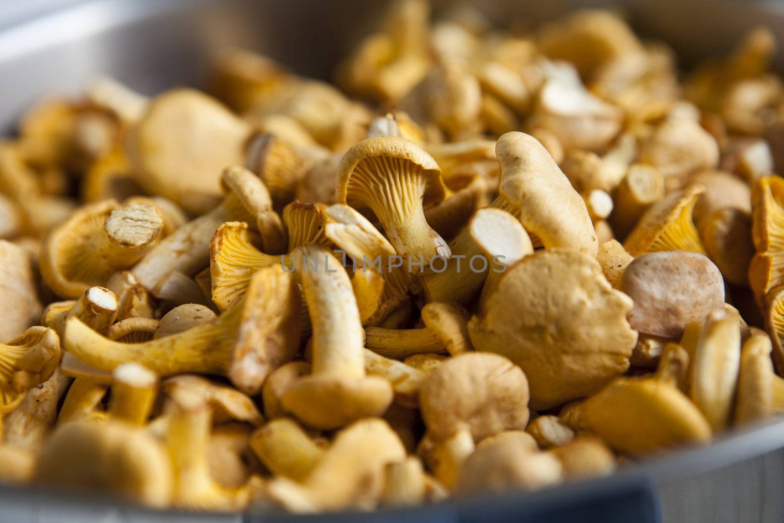 Close up of chantarelles