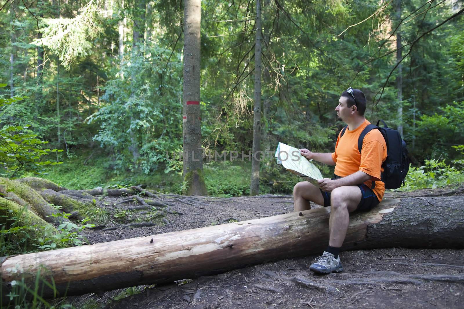 tourist reading a map - Slovak Paradise
