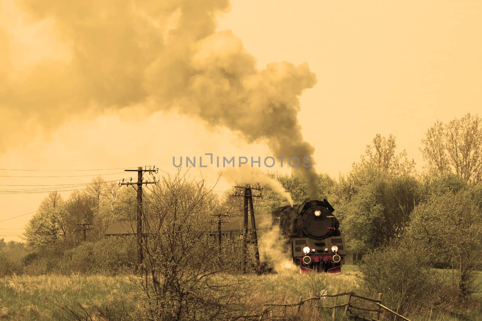 Steam retro train passing through countryside
