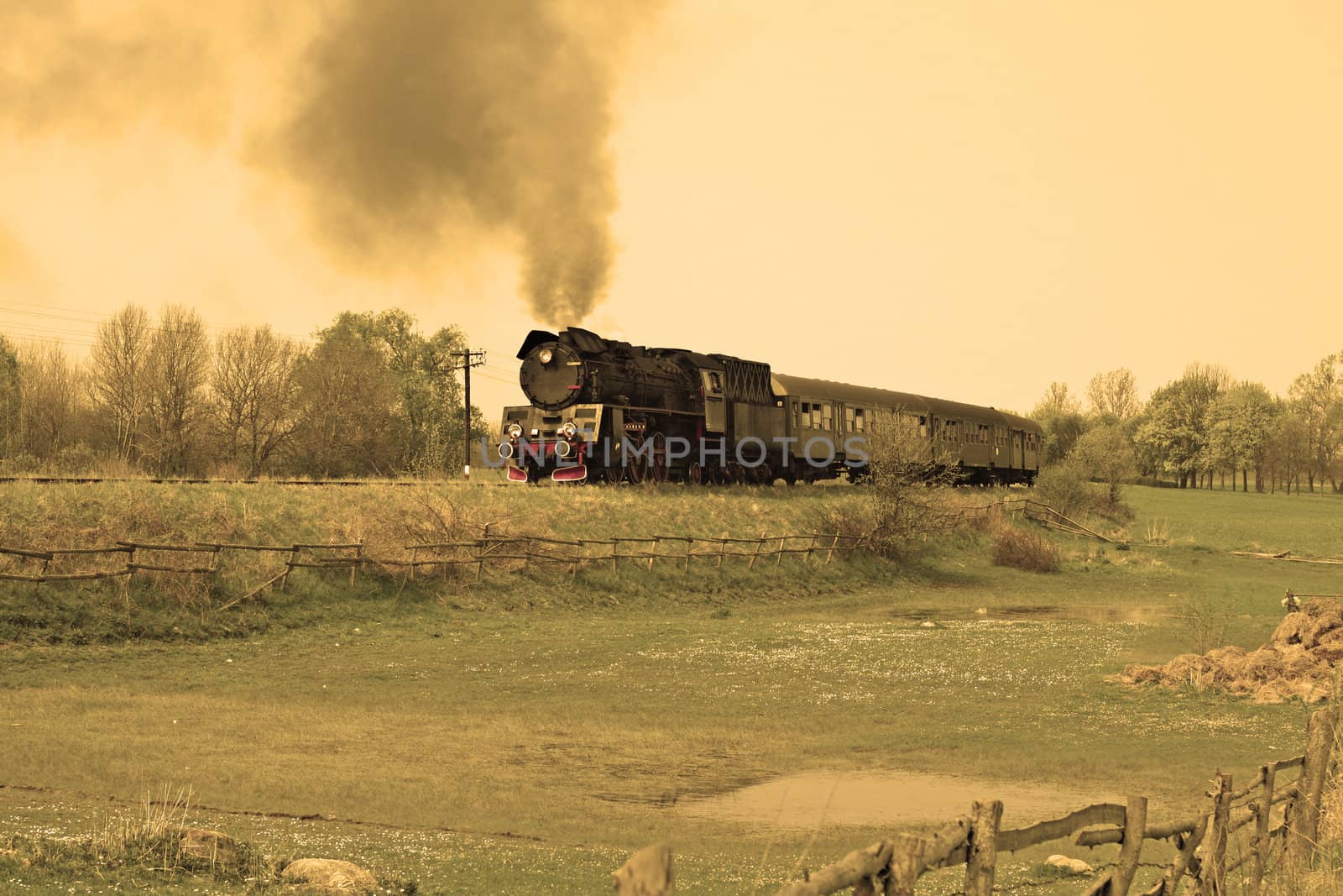 Steam retro train passing through countryside
