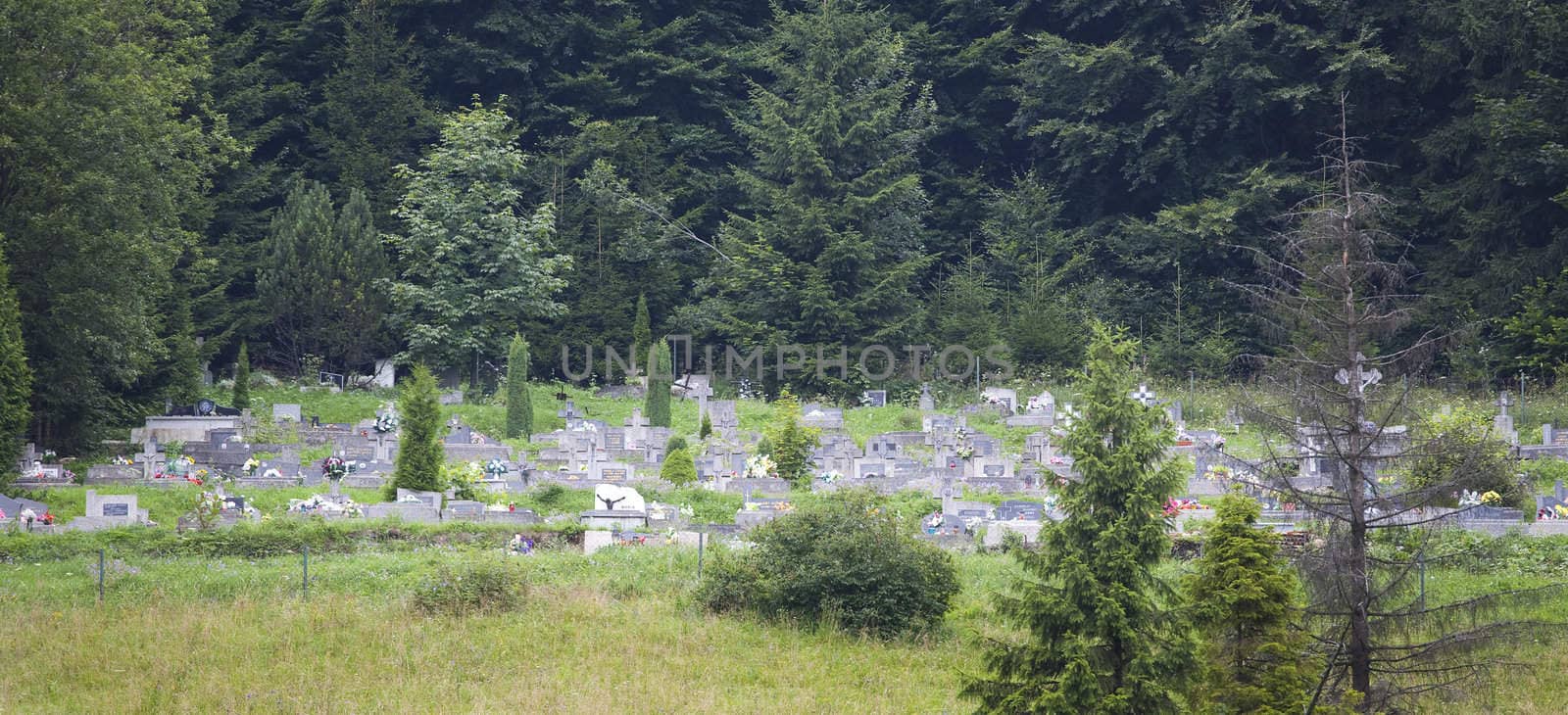 Cemetery in slovakian city Dedinky by furzyk73