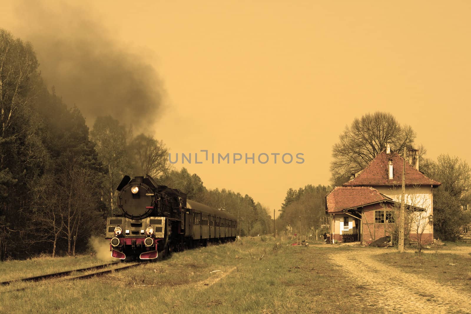 Steam passenger train starting from the small station

