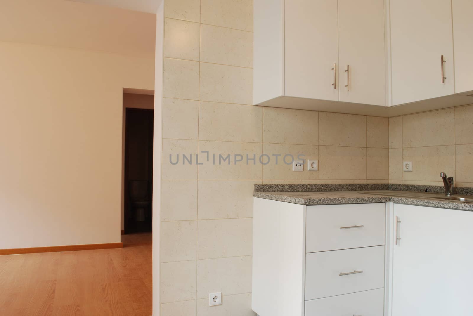 modern and small kitchen in white (wooden floor)
