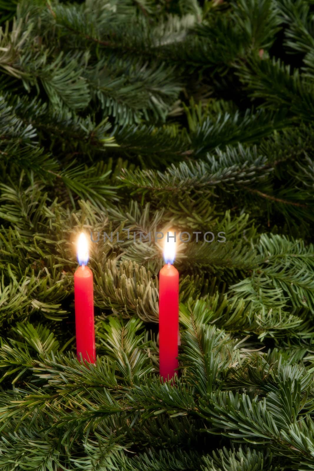 Christmas still life with candles