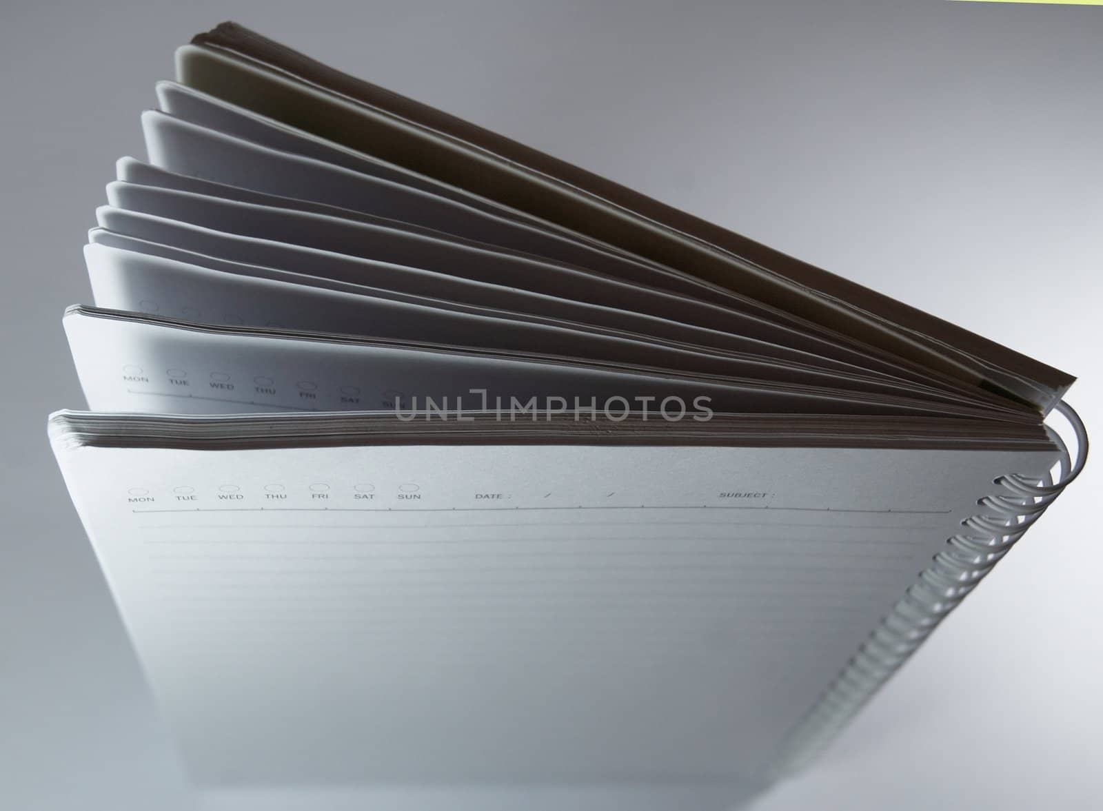 White empty diary. May you want to write something?