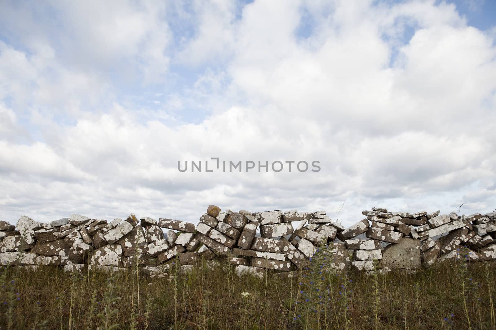 Stone Wall in nature