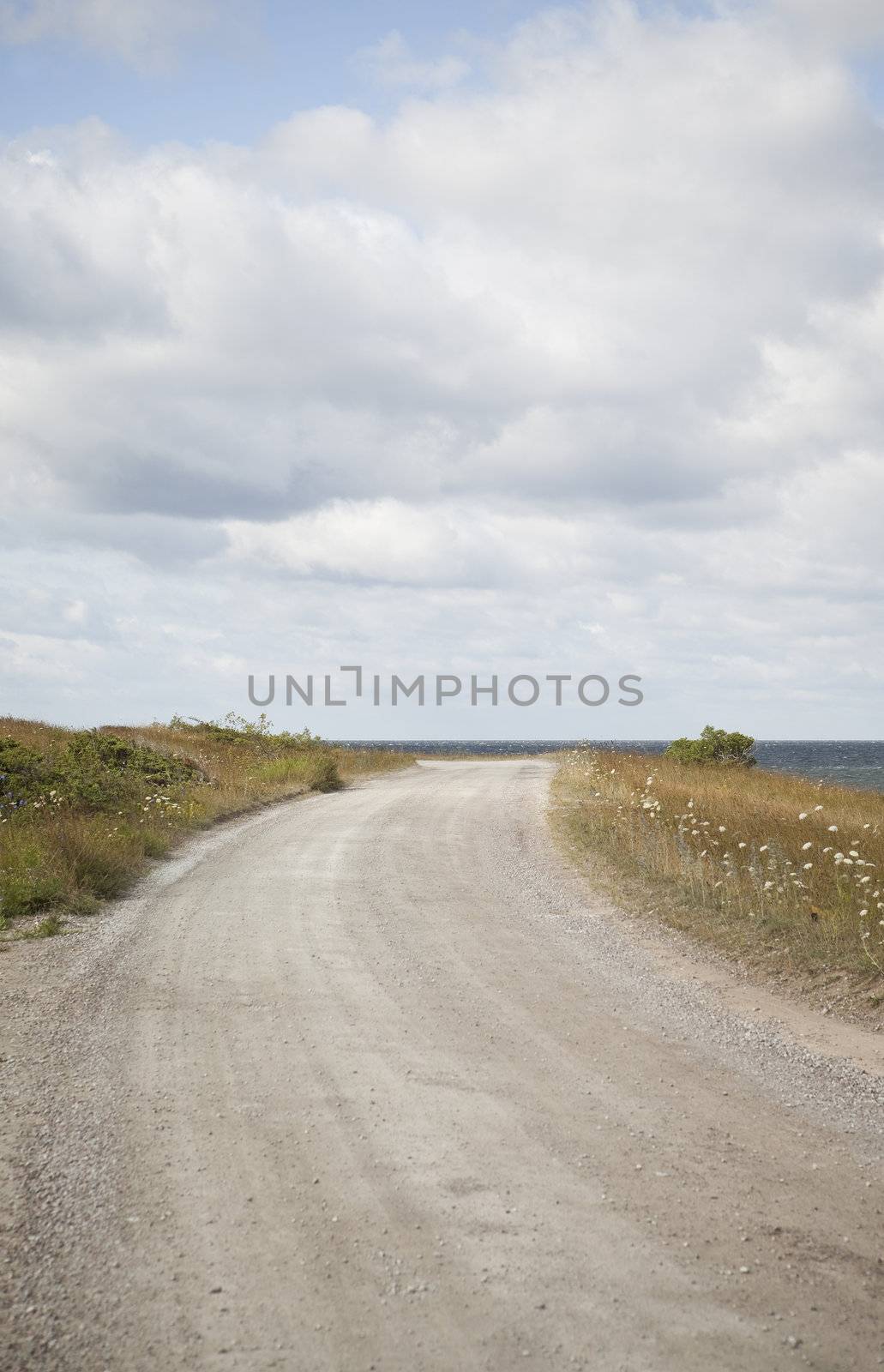 Dirt Road by the sea