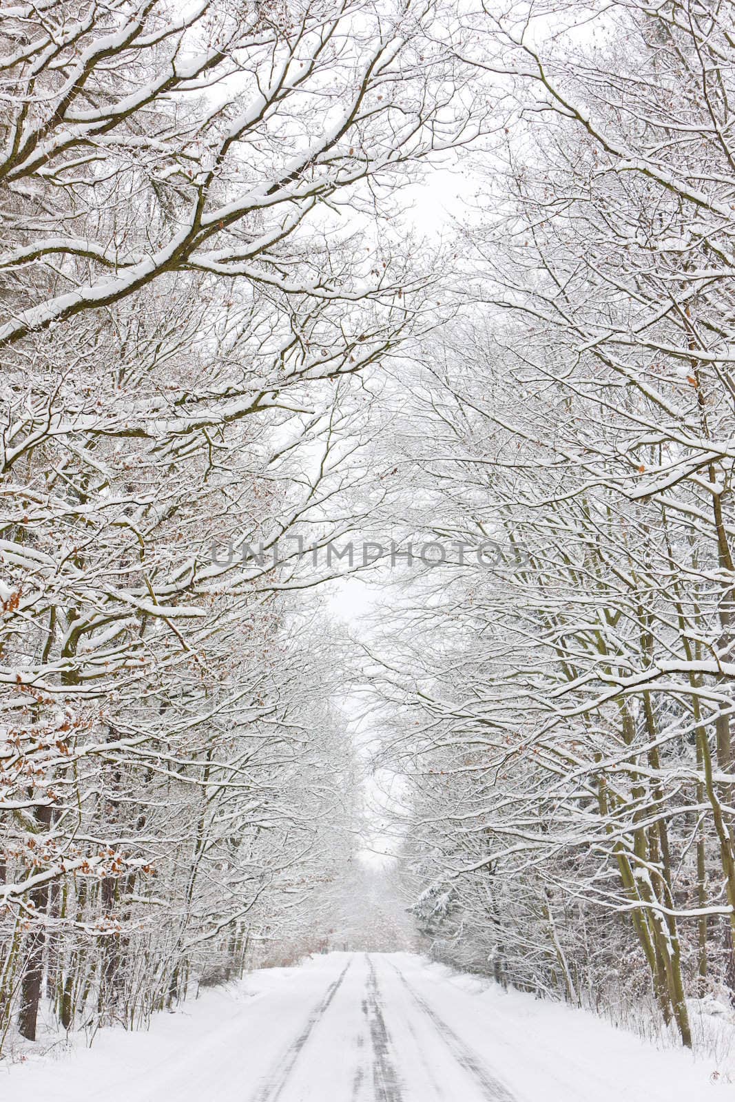 snowy road, Czech Republic