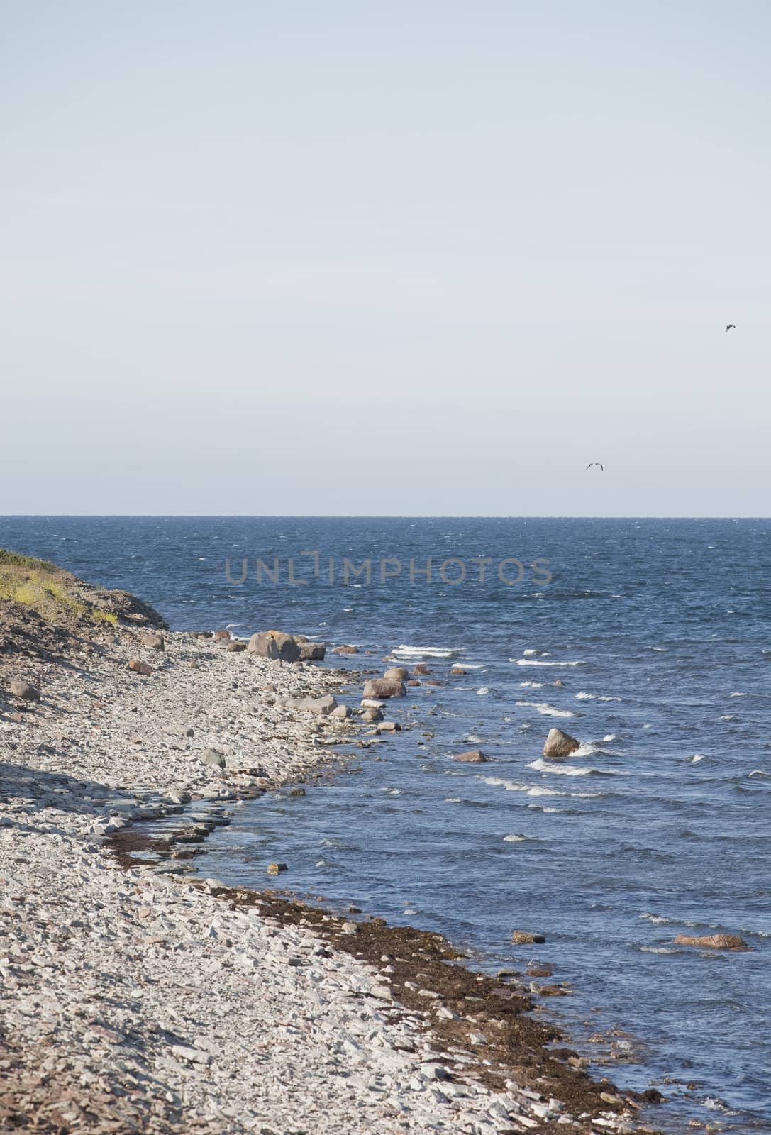 Stone beach