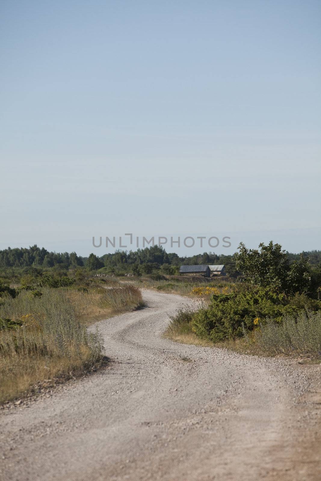 Dirt road