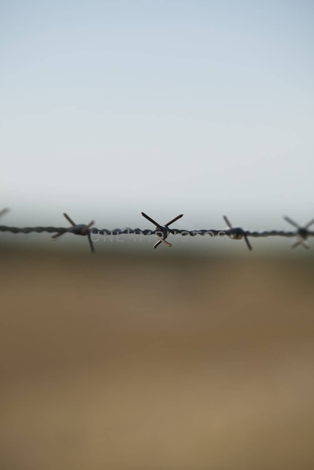 Barbed wire