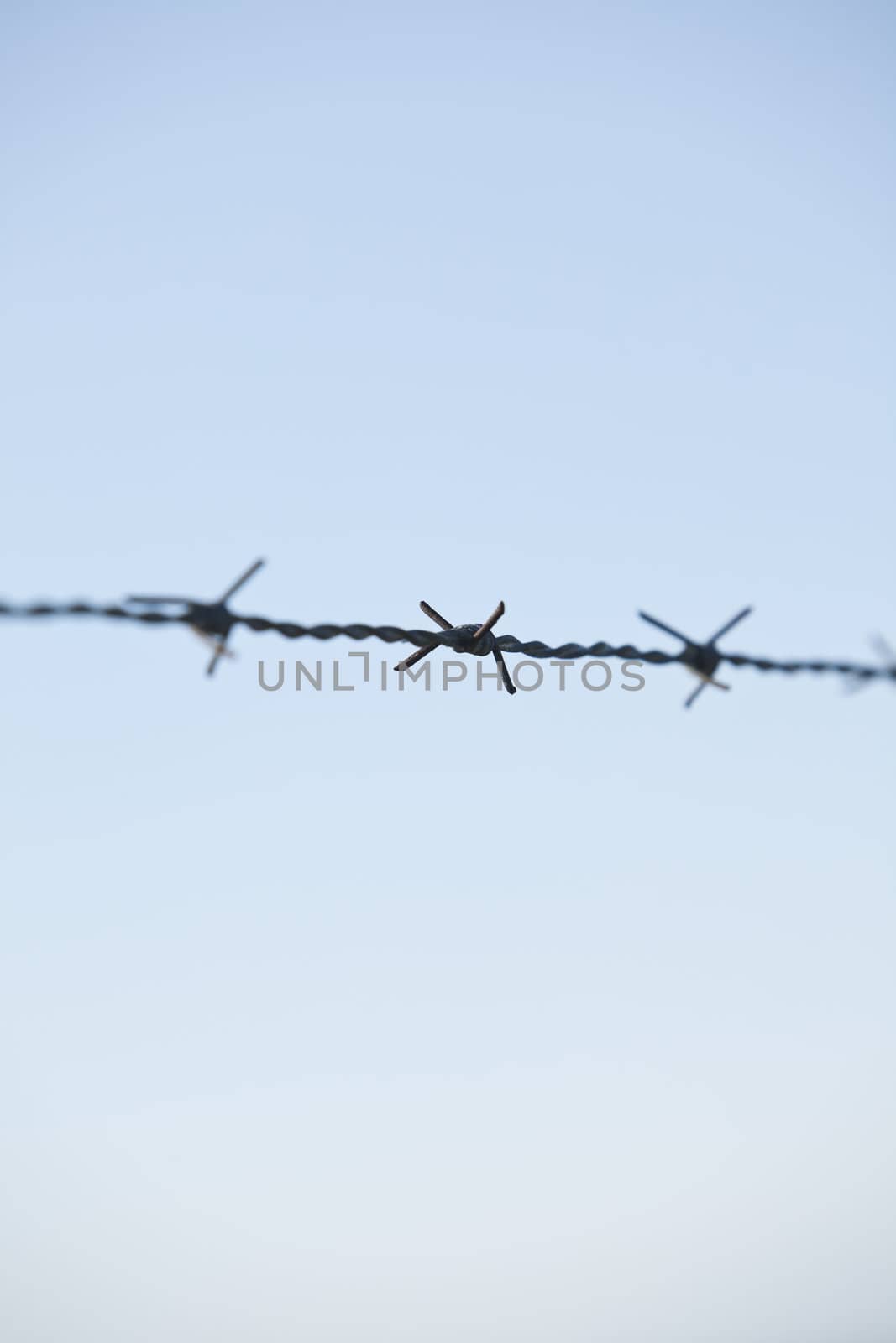 Barbed wire