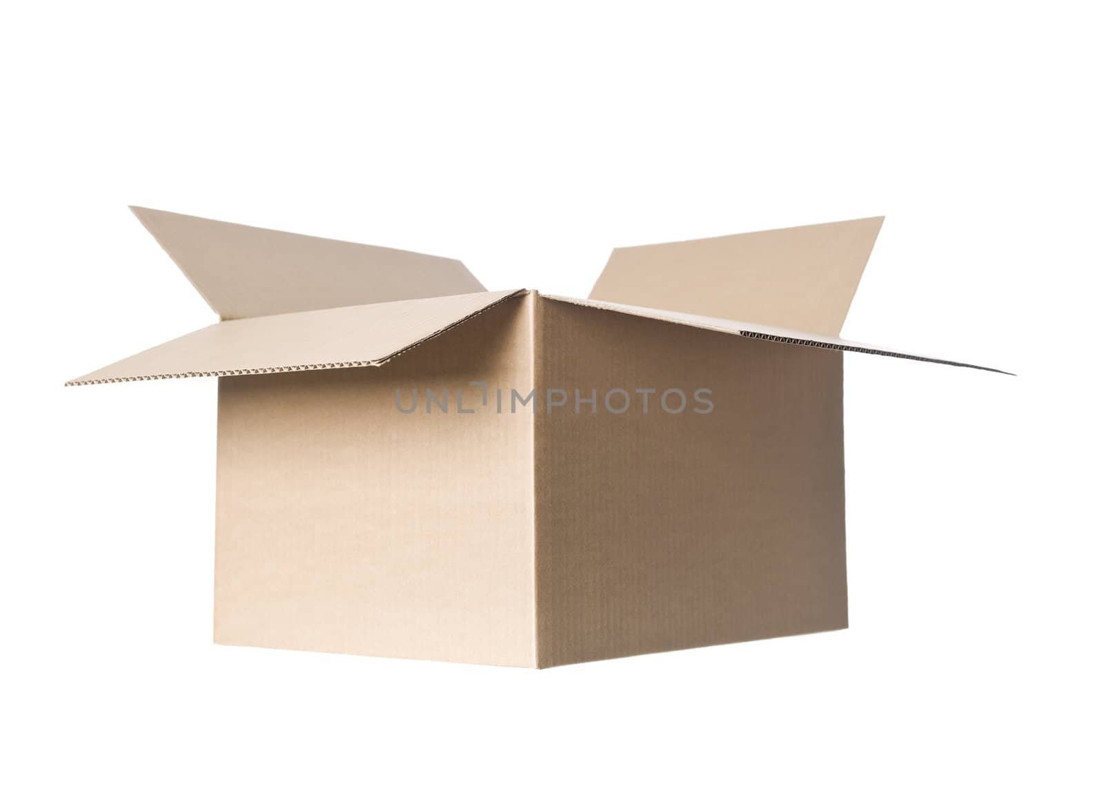 Open cardboard box by gemenacom