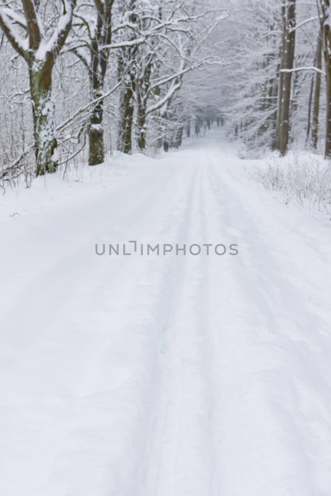 snowy road, Czech Republic