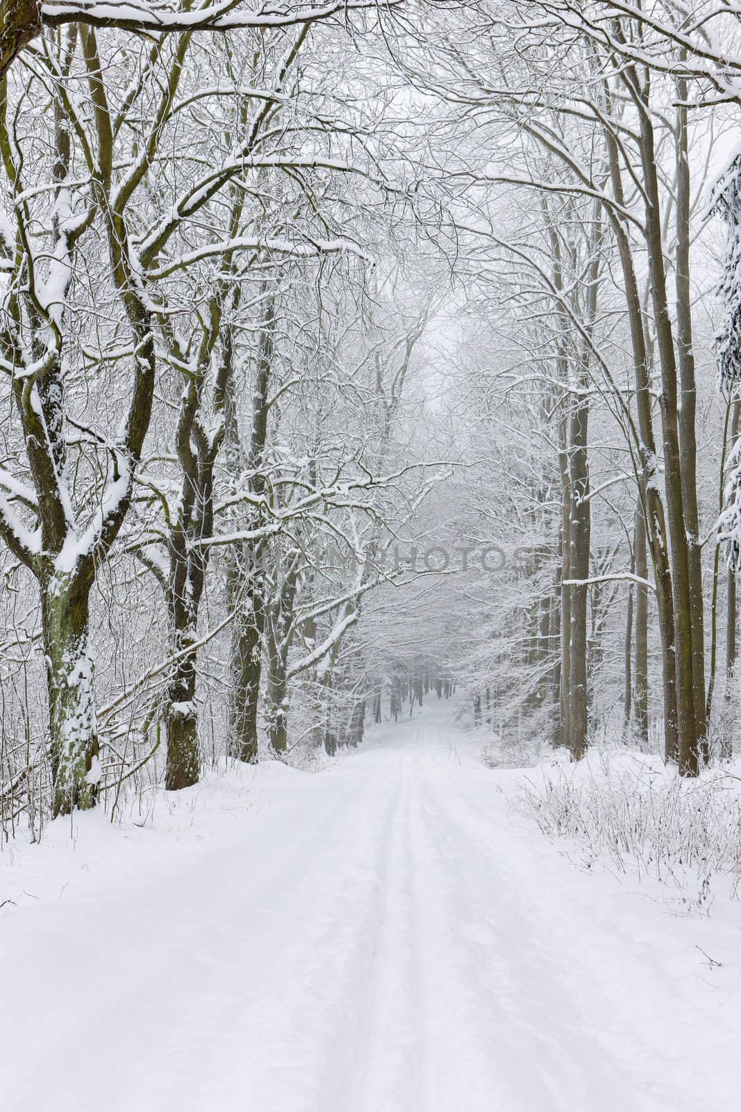 snowy road, Czech Republic