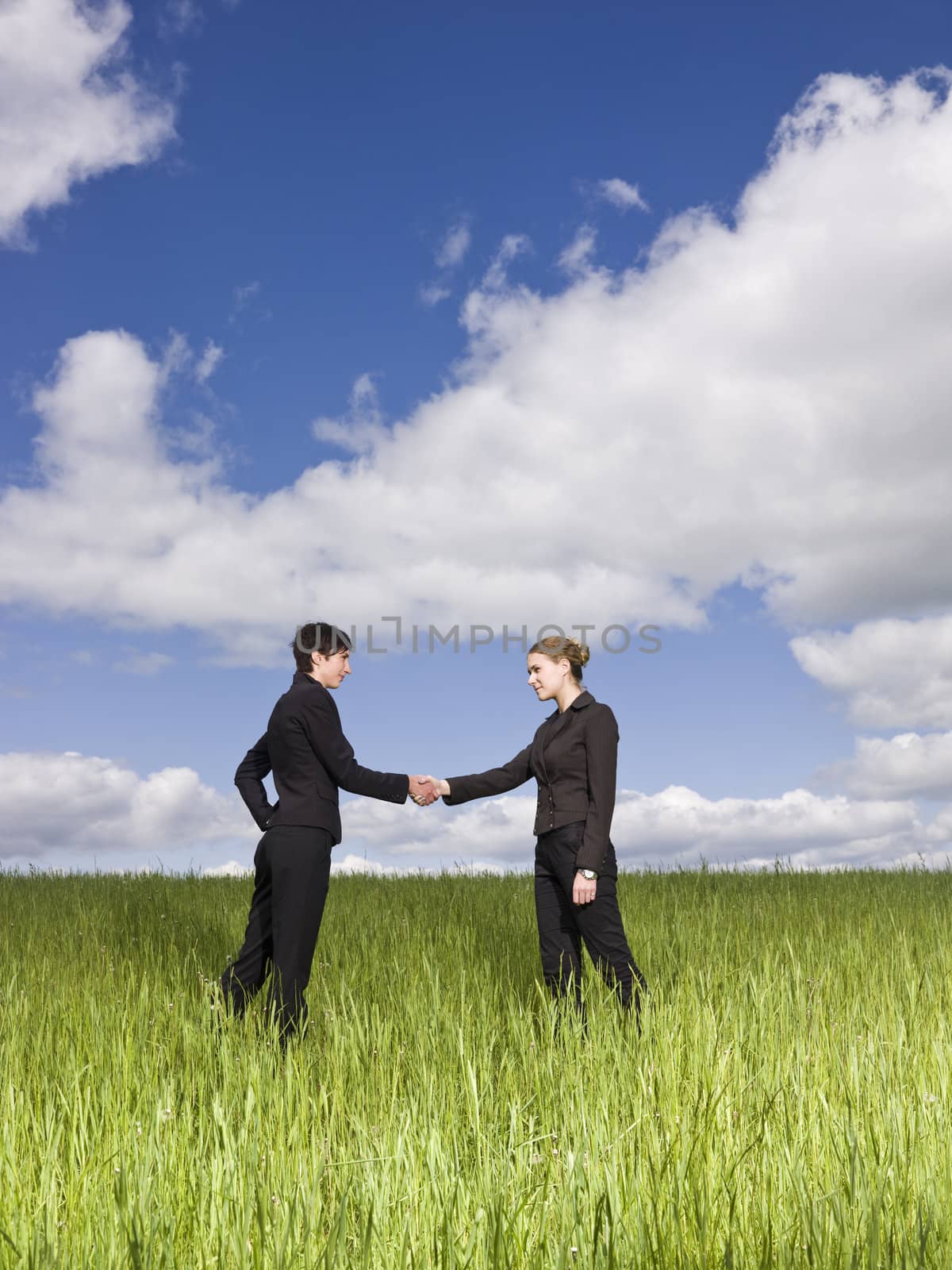 Two women standing in the grass shaking hands by gemenacom