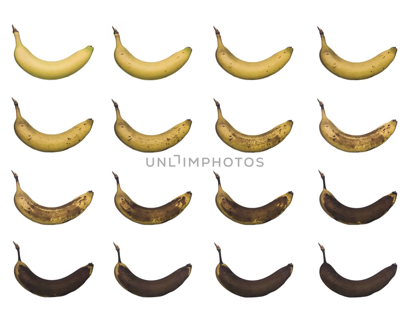 Banana in progress isolated towards white background